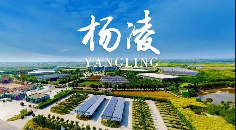 【聚焦丝博会】杨凌将集中展示四大板块内容