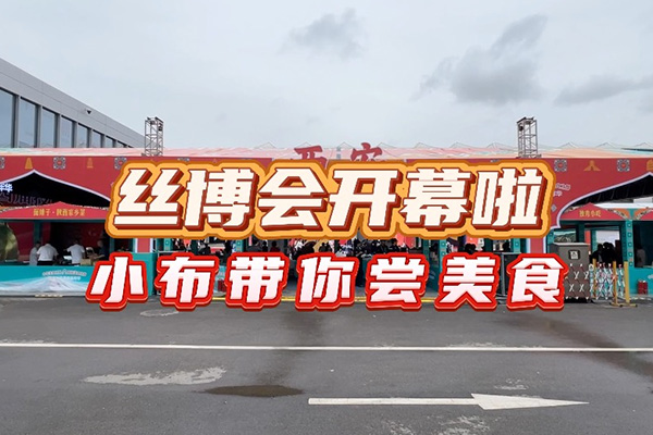 作为第八届丝博会配套活动之一的“2024陕菜美食文化交流活动”，不仅充分展示陕菜文化，还能让你“吃遍”全球。小布带你去体验→